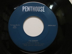 Royal Holidays - I'm Sorry