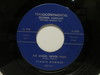 Downes, Vinnie - Foolish Pride