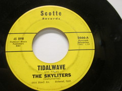 Skyliters - Tidal Wave