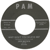 Brown, Skip/shantons - Why Don't You Believe Me