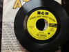Cowsills - Hair