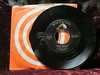 Meadows, Jayne/audrey - Dear Ralph