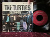 Turtles - Elonor