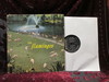 Flamingos - Same