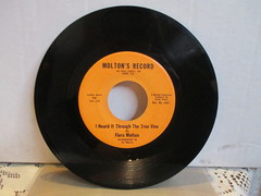 Molton, Flora - The Sun Will Shine In Nam