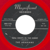 Arabians - Teardrops In The Night