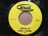 Anthony/sophmores - Beautiful Dreamer